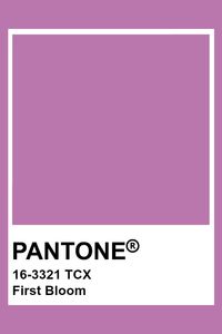 PANTONE 16-3321 TCX First Bloom #pantone #color #orchid