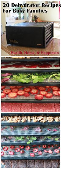 Dehydrator Recipe Roundup- 20 recipes that use your dehydrator for everything from cayenne beef jerky from a roast to sweet-tart dried kiwi to homemade yogurt! Preserve the harvest and provide healthy snacks at the same time!