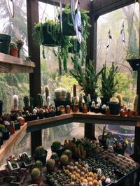 gypsky: “ Little green house ”