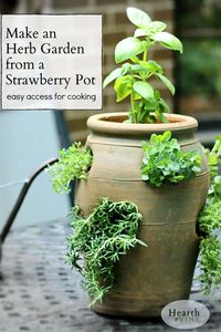 You don't have to have a large garden to grow herbs. This easy DIY herb garden in a strawberry pot will show you just how easy it is.