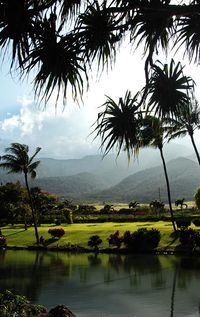 Maui