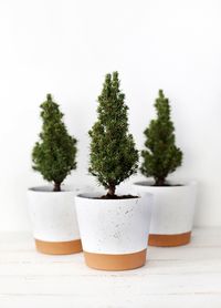 DIY Splatter Planter @themerrythought with @methodhome #fearnomess #sponsored