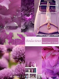 Bodacious / Безрассудный модный цвет Pantone сезона осень-зима 2016