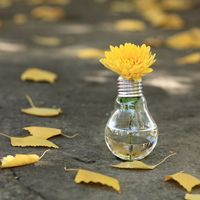 Ampoule grillée ? Et si on lui donnait un sursis en la transformant en objet déco. On a repéré sur Pinterest les meilleurs idées de recyclage d’ampoules usagées.