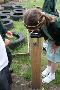 Bug Magnifier Discovery - Activity & Role Play Playground Equipment