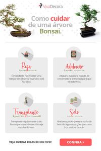 Infográfico – Bonsai #bonsai #bonsaifrutíferas #bonsaiipe