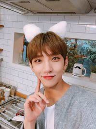 181222 Seventeen Japan Line Update #세븐틴 #seventeen #jisoo #joshua #shua #josh