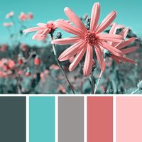 25 Summer Color Palettes | Sarah Titus ~ Saving Money Never Goes Out of Style | Bloglovin’