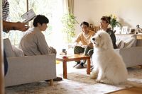 Astage-アステージ- on Twitter: "【CINEMA】映画『ハウ』🎬🐶 俳優犬ベック&田中圭ら豪華キャスト陣の現場オフショット映像🎥解禁!✨ ベックの可愛すぎるNGにメロメロ⁉️ #ハウ #映画ハウ #田中圭 #ベック #野間口徹 #渡辺真起子 #モトーラ世理奈 #宮本信子 #長澤樹 @haw_movie2022 https://t.co/8MNnTbRxNw https://t.co/dw9hsCAzRN" / Twitter