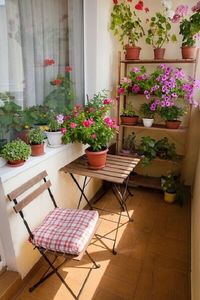 28. Vasos de flores e plantas para varanda pequena – Foto: Apartment Therapy #plantasparavaranda #plantasparavarandacomsol #plantasparavarandadeapartamento