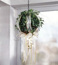 #Mistletoe Note: need fake mistletoe. Don't want any leaves falling and creatures getting poisoned!!