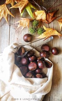 Ricette castagne e marroni - raccolta - Timo e lenticchie