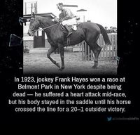 Dead jockey wins race: In 1923 jockey Frank Hayes won a a race at Belmont despite being dead. 20:1 victory. #gambling #horseracing http://x.vu/barrierqueenreviews