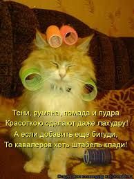 Фото Добрый Вечер Прикольные Фото Добрый Вечер Прикольные