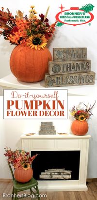 Easy, do it yourself, fall decoration with real pumpkins! A simple way to decorate for Fall or Thanksgiving is with these real pumpkins and some fake flowers!