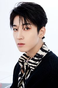 SEVENTEEN Japan on Twitter: "#SVT_DREAM D-12💎 今夜また見るのだろう Feel so good #DREAM with #SEVENTEEN #WONWOO https://t.co/rQ2RHImgiI" / Twitter