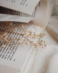 ♛ A wHiMSiCaL RomAnCe ♛
