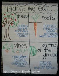 More Plants + Writing Celebration – Mrs Jones's Class