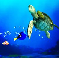 Turtle Talk With Crush Attraction Disney California Adventure Disneyland