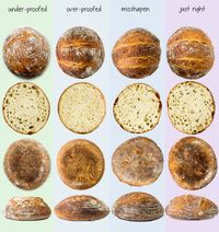 Breadmaking 101: How to Troubleshoot Bad Bread