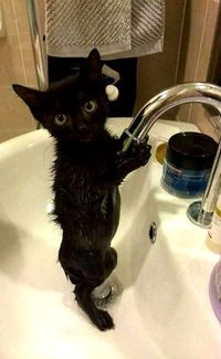 "I wish I knew why I have to wash myself so much. I spend most of my time sleeping or lying on the floor watching TV."