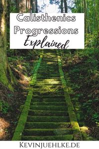 Progressions and Regressions exist to make your life easier when training for a specific skill - like a front lever. They should create a level for everyone to work at with the superior goal in mind by making an exercise easier or harder. No one started with a full planche on day one. The journey takes years - and that's where progressions come into play! #calisthenics #progressions #regressions #skilltraining #workoutprogramming