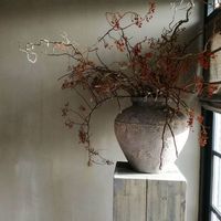 Gisteren paar krulhazelaars bij de rozenbottel en magnoliatakken gestoken. Ik ben eigenwijs door de rozenbotteltakken te laten staan. De kleur komt zo mooi tot zen recht en ze staan mooi dus tja....waarom niet...misschien nog iets leuks erin verzinnen voor Pasen.. Pure&original#kalkverf#kruik#4000volgerszieiknet#dankbaarbedanktvoorhetvolgen#