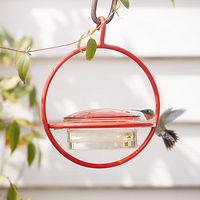 Circle Hummingbird Feeder - Terrain