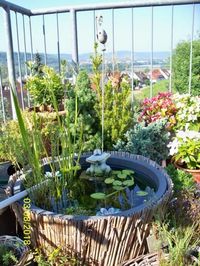 Unser kleiner Minniteich auf dem Balkon.