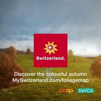 What would autumn be without forests and vineyards awash with colour? With Switzerland’s first “ fall foliage map”, you can find out where and when the leaves will be at their most vibrant with just one swipe. It also has useful tips on excursions and all sorts of fascinating facts about the season. Discover a world of colour! #IneedSwitzerland