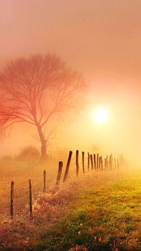 Landscape Photography. Digital photography tricks. Creative digital photography techniques don't have to be difficult or tough to learn. Typically only a few simple alterations to the way you shoot will dramatically boost the outcome of your photographs. #photographytricks
