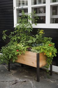 Surprising planter box ideas for fall you'll love