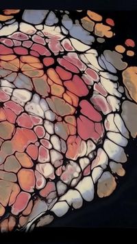 An open cup fluid acrylic pour using Chroma metallics~ Like the pour? Click to go to my Youtube channel to see more and subscribe to support~ :) #acrylicpourpainting #acrylicpouring #acrylicpouringart #acrylicpourpaintingforbeginners #acrylicpouringtechniques #paintpouring #fluidart #fluidacrylicpainting #fluidpainting #lifeiskumquat #abstractart #opencup #opencuptechnique