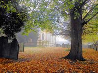 Autumn and Halloween all year long — “Foggy autumn morning” by Dun.can - CC BY 2.0