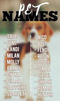 - Pet names, Dog names, Cat names