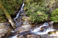 Dukes Creek Falls Trail