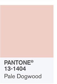 PANTONE 13-1404 Pale Dogwood