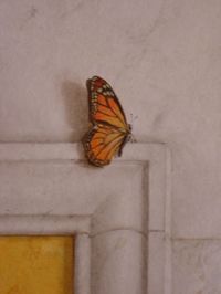 Trompe l'oeil par Antoine Landais.