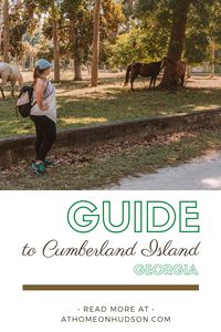 Cumberland Island National Seashore is an island off the coast of Georgia boasting pristine natural beaches, famous wild horses, and storied history! If you find yourself in the US South, Cumberland Island is so well worth a day-long detour off I-95. #Georgia #Beach #Horses #USA #CumberlandIsland