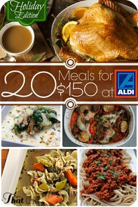 This meal plan is incredible!!! Make 20 meals for under $150.00 and it includes a full Holiday Feast! All of the recipes are freezer cooking friendly, and there are step by step instructions on how to create this meal plan! See how this plan can make your life so much easier!