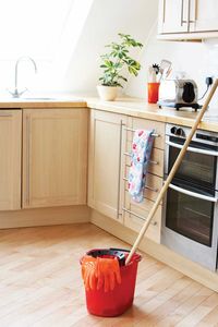 Plant essential oils bring cleaning power and a fresh scent to your home—without chemicals.