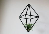 49. Decoração moderna com vaso suspenso de plantas aéreas – Foto The Surznick Common Room #plantasaéreas #plantasaereasdecoracion #plantasaereastipos