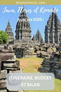 Pour Laurent, l'Indonésie ne se résume pas à Bali ! Ainsi, il explore en famille des îles indonésiennes moins tourisitiques : Java, Flores et Komodo sont au programme de ses vacances d'été ! #wikidstravel #voyageindonesie #indonesieenfamille