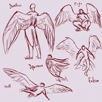 Wings, body positions; How to Draw Manga/Anime
