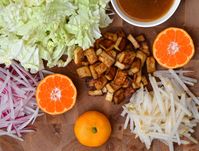 Recipe: Napa Cabbage and Tofu Salad