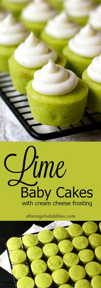 Lime Baby Cakes from afarmgirlsdabbles.com - Little flavorful lime cupcakes with swirls of cream cheese frosting