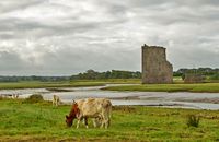 Castello di Carrigafoyle