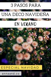 ¿Estás cansada del estilo invernal para tu decoración de Navidad? Si para ti la Navidad es en verano, este artículo es para ti. Descubre ideas frescas para la decoración navideña de tu casa.