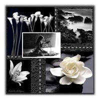 "Determination" by theseapearl ❤ liked on Polyvore featuring art, blackandwhite and artexpression