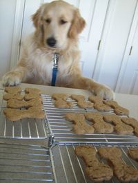 Dog treats: Only 4 ingredients! 2 cups whole-wheat flour, 1 Tablespoon baking powder, 1 cup natural peanut butter, 1 cup low-fat milk. Preheat oven to 375 degrees. In a bowl, combine flour and baking powder. In another bowl, mix peanut butter and milk. Add wet mixture to dry, and mix well. Turn out dough on a lightly floured surface and knead. Roll out to 1/4-inch thickness and cut out shapes. Place on a greased baking sheet and bake 20 minutes or until lightly brown. Cool on a rack and store...